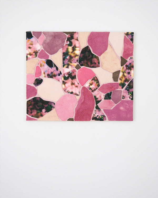 Plum Blossoms and Prickly Pear