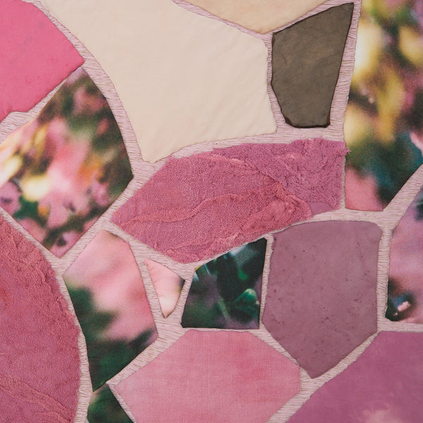 Plum Blossoms and Prickly Pear