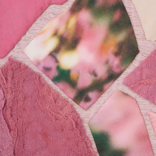 Plum Blossoms and Prickly Pear