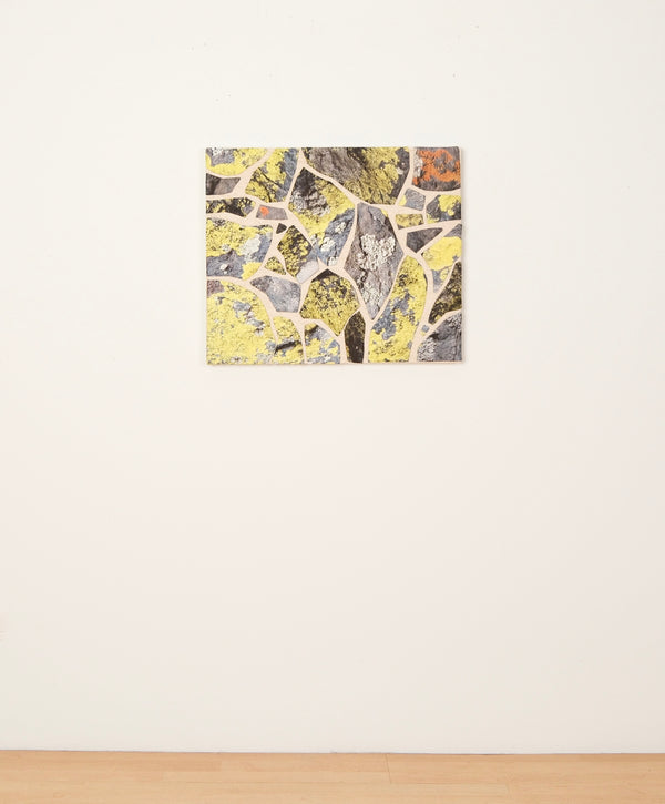 In the Gallery: Map Lichen on Atalaya