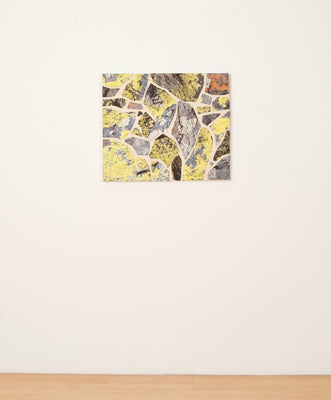 In the Gallery: Map Lichen on Atalaya