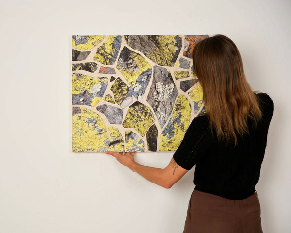 In the Gallery: Map Lichen on Atalaya